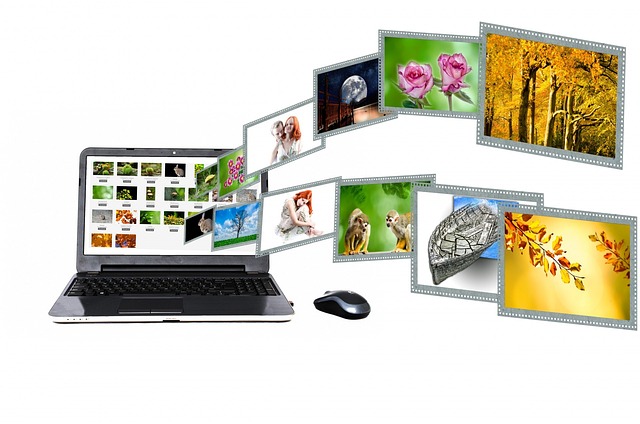 les contenus web - Plus qu'1 site