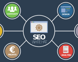 Référencement naturel (SEO)