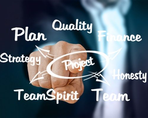 Business model maitrisé - plus qu'1 site