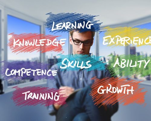 business model - plus qu'1 site